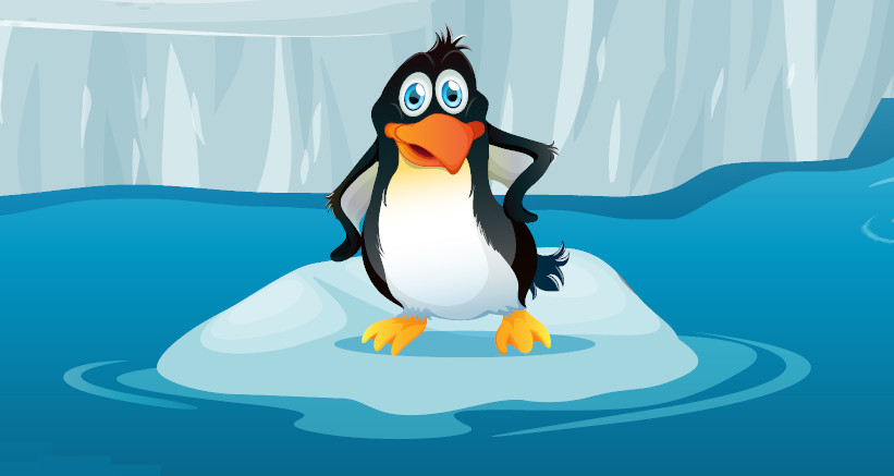 Penguin on Ice Floe